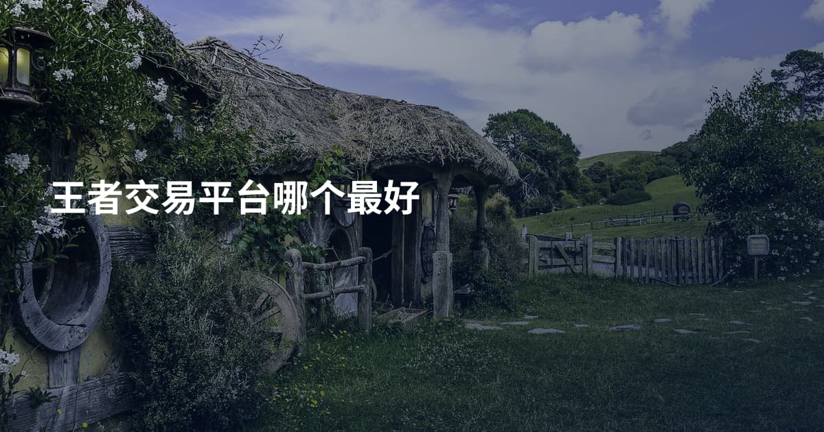 王者交易平台哪个最好