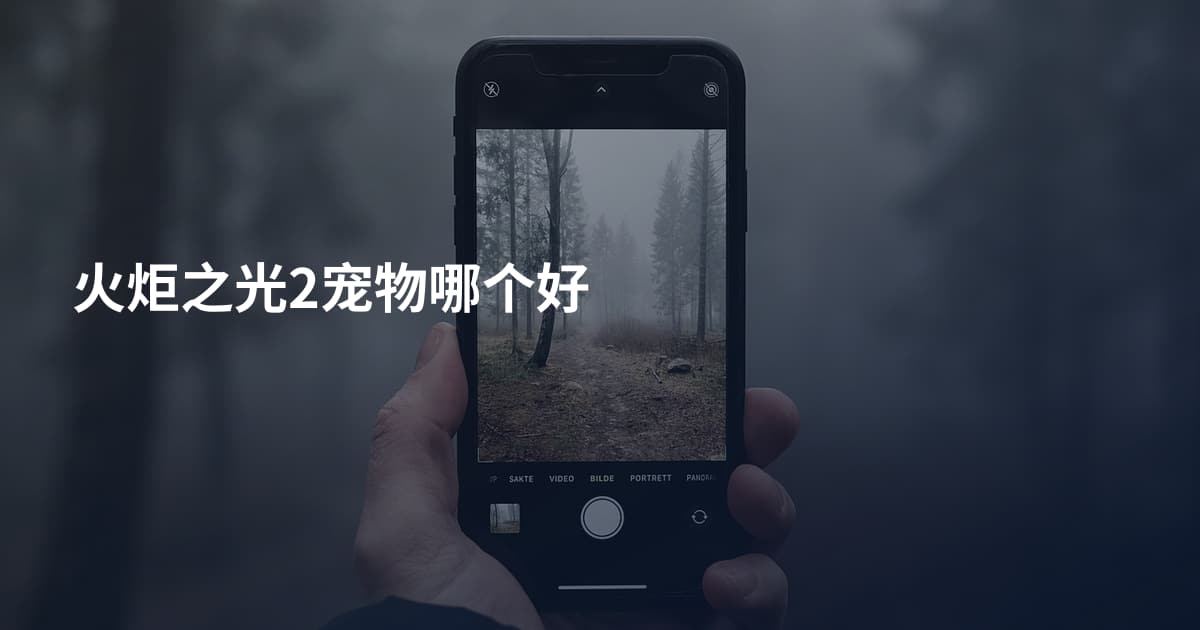 火炬之光2宠物哪个好