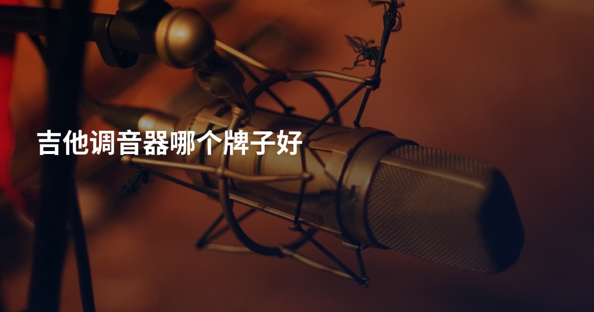 吉他调音器哪个牌子好