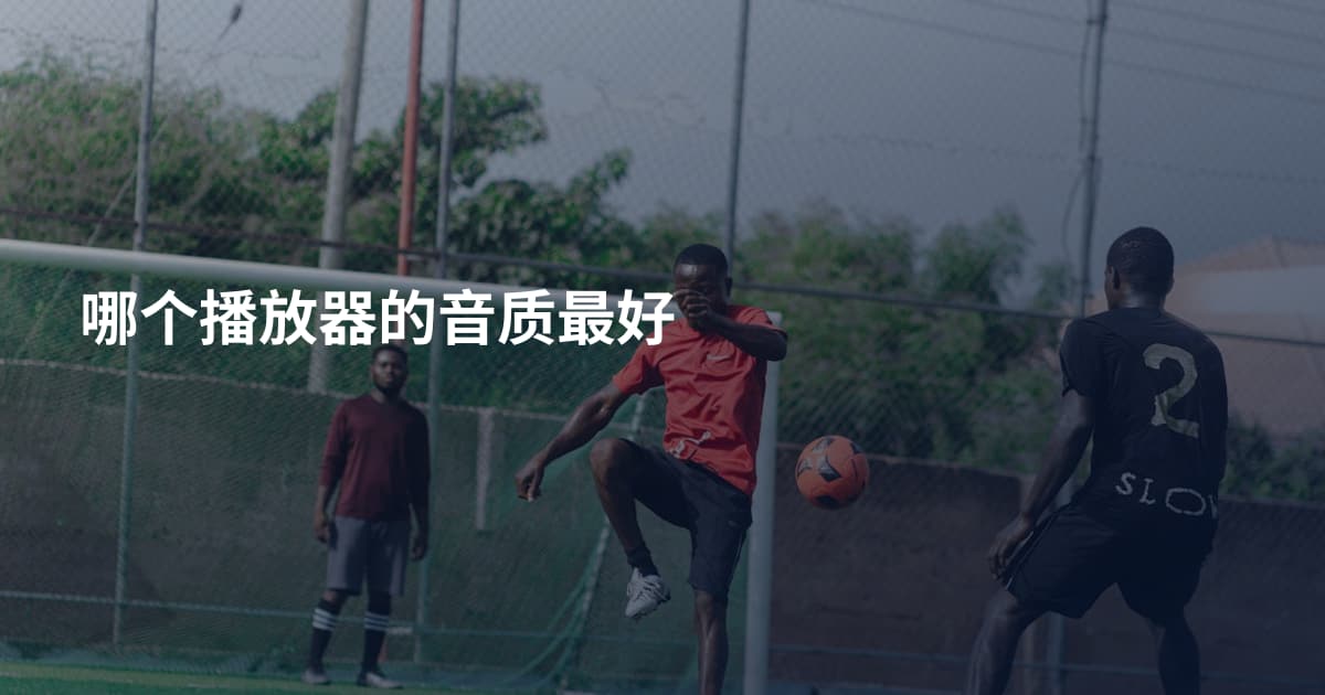 哪个播放器的音质最好