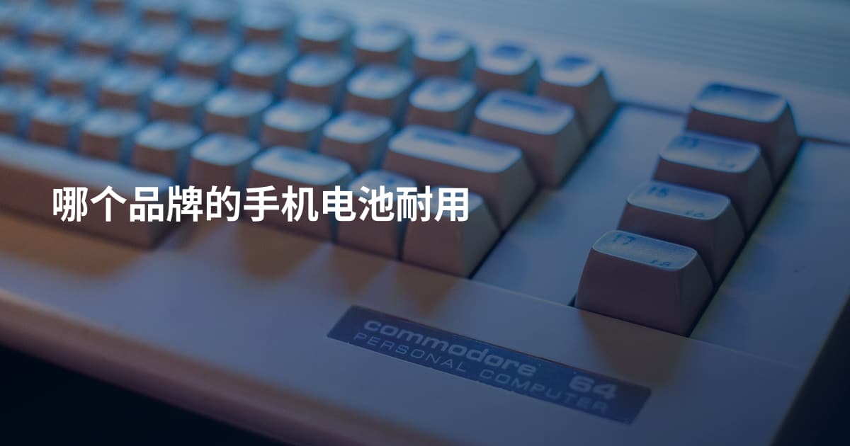 哪个品牌的手机电池耐用