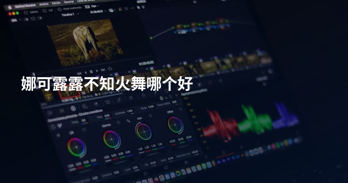 娜可露露不知火舞哪个好
