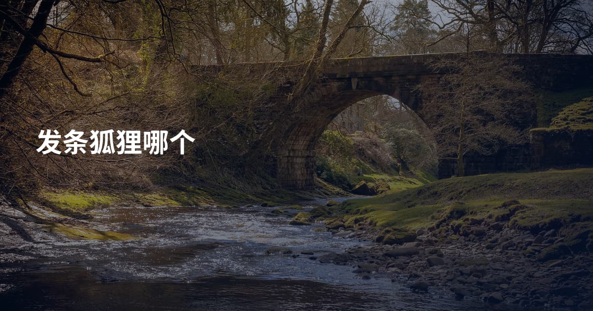 发条狐狸哪个