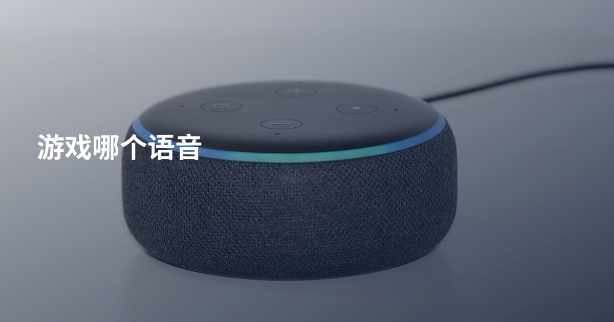 游戏哪个语音