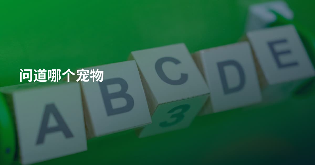 问道哪个宠物