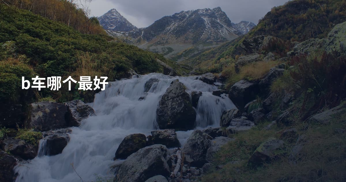 b车哪个最好