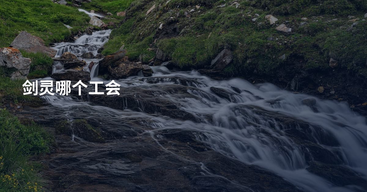 剑灵哪个工会