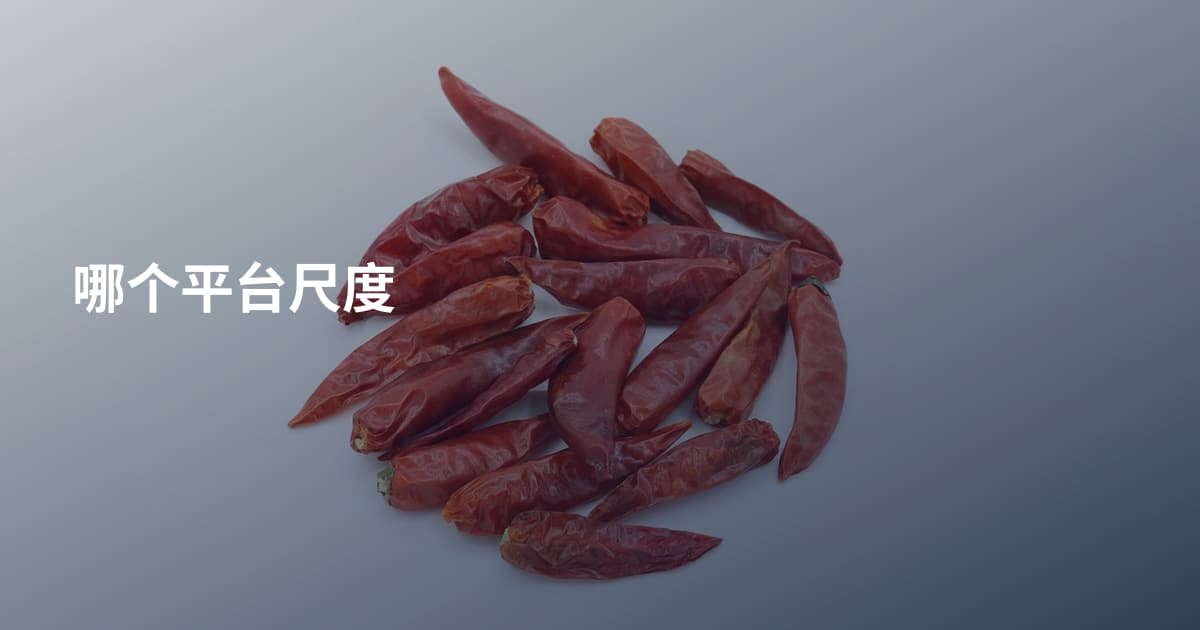哪个平台尺度