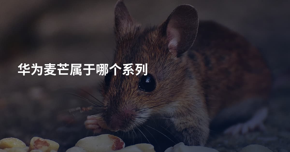 华为麦芒属于哪个系列