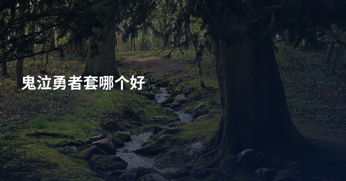 鬼泣勇者套哪个好