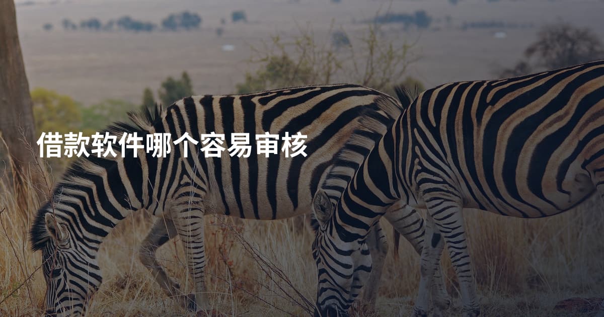借款软件哪个容易审核