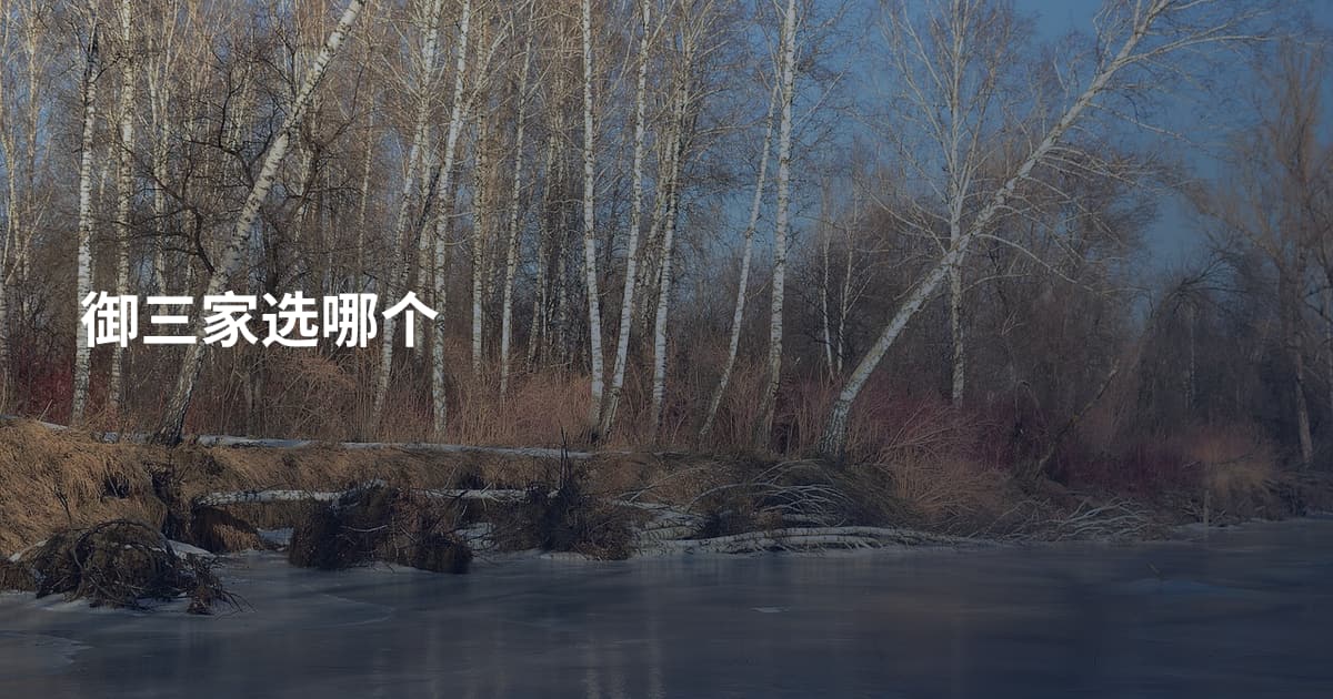 御三家选哪个