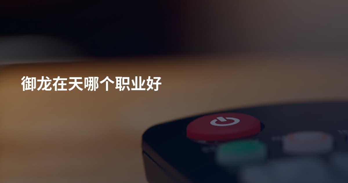 御龙在天哪个职业好