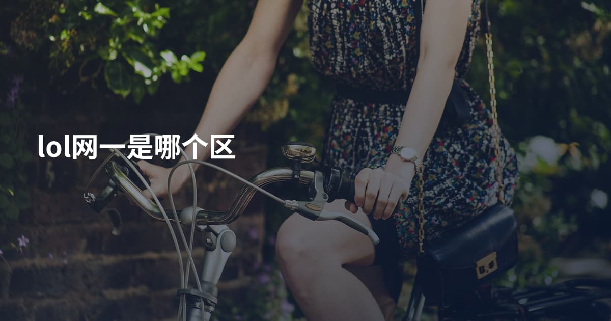 lol网一是哪个区