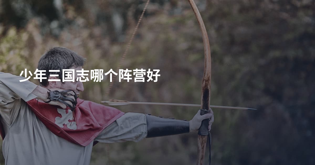 少年三国志哪个阵营好