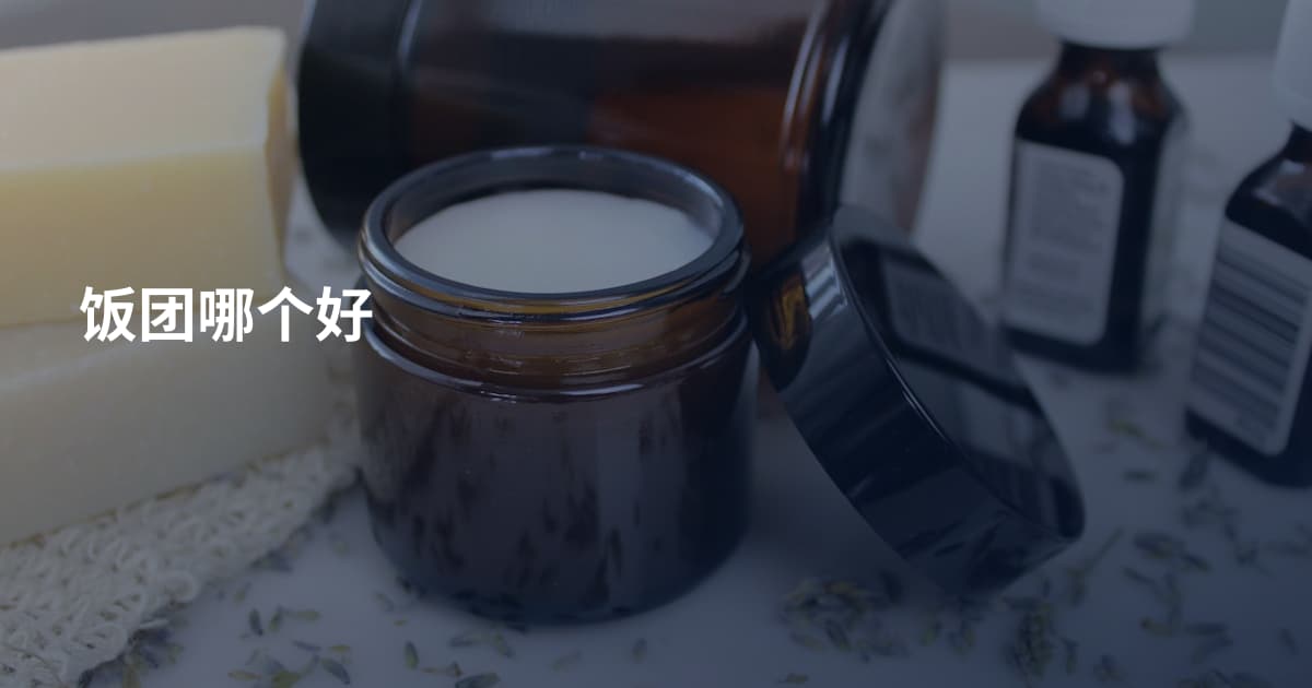 饭团哪个好