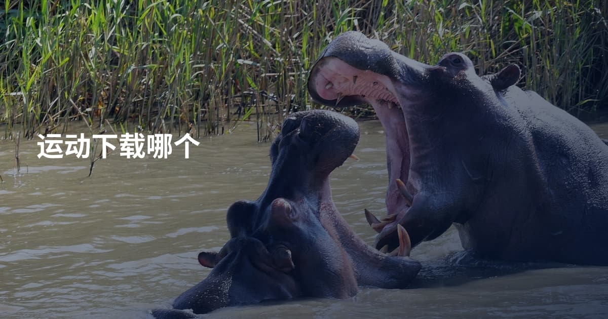 运动下载哪个