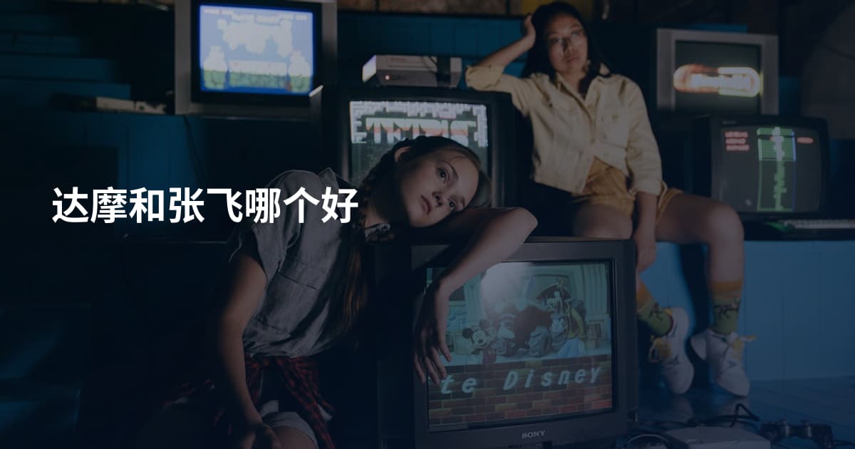达摩和张飞哪个好