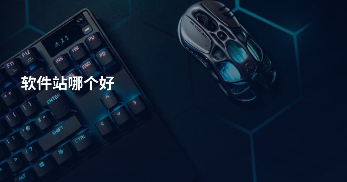 软件站哪个好