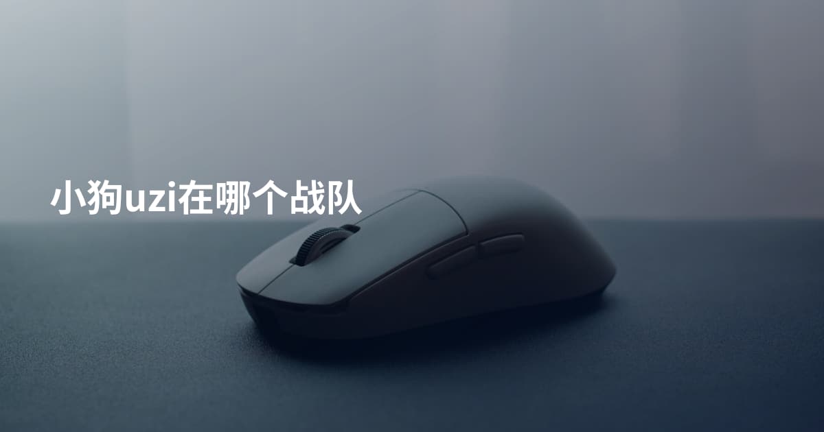 小狗uzi在哪个战队
