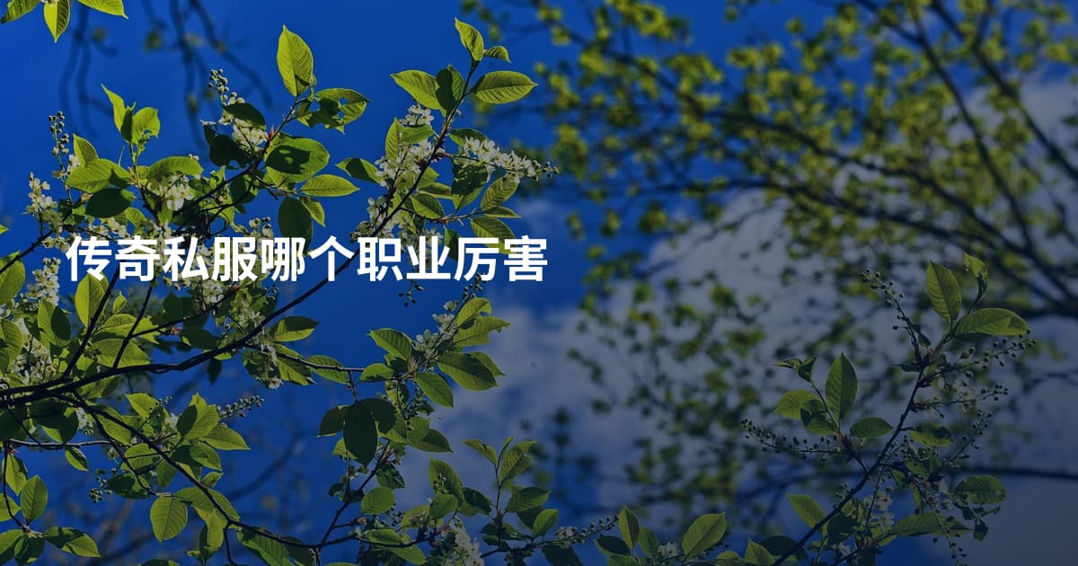 传奇私服哪个职业厉害