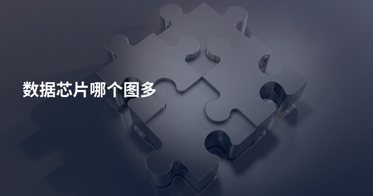 数据芯片哪个图多