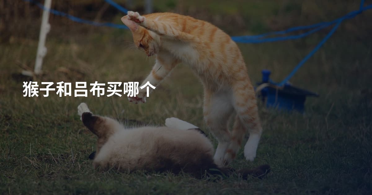 猴子和吕布买哪个
