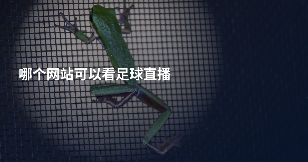 哪个网站可以看足球直播