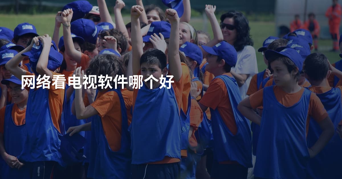 网络看电视软件哪个好