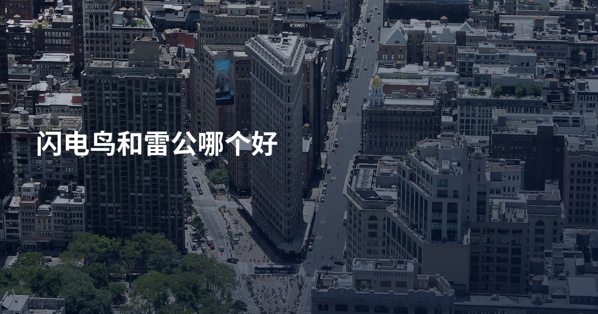 闪电鸟和雷公哪个好