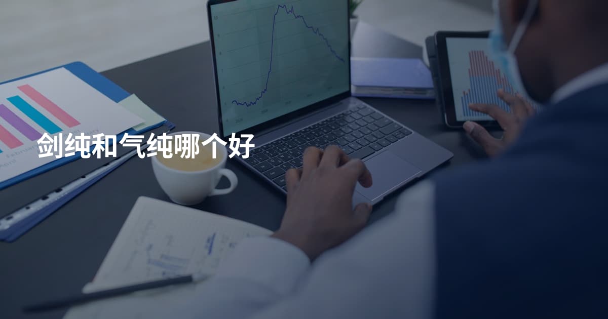 剑纯和气纯哪个好