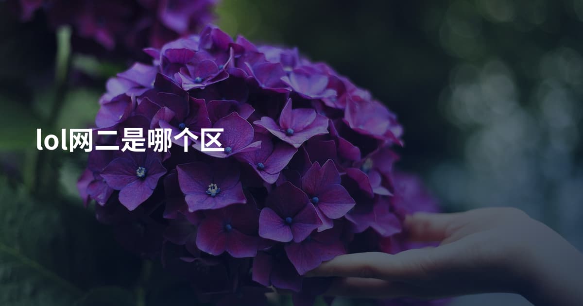 lol网二是哪个区