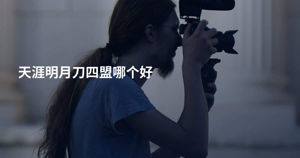 天涯明月刀四盟哪个好