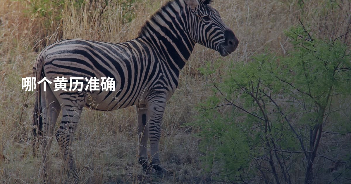 哪个黄历准确