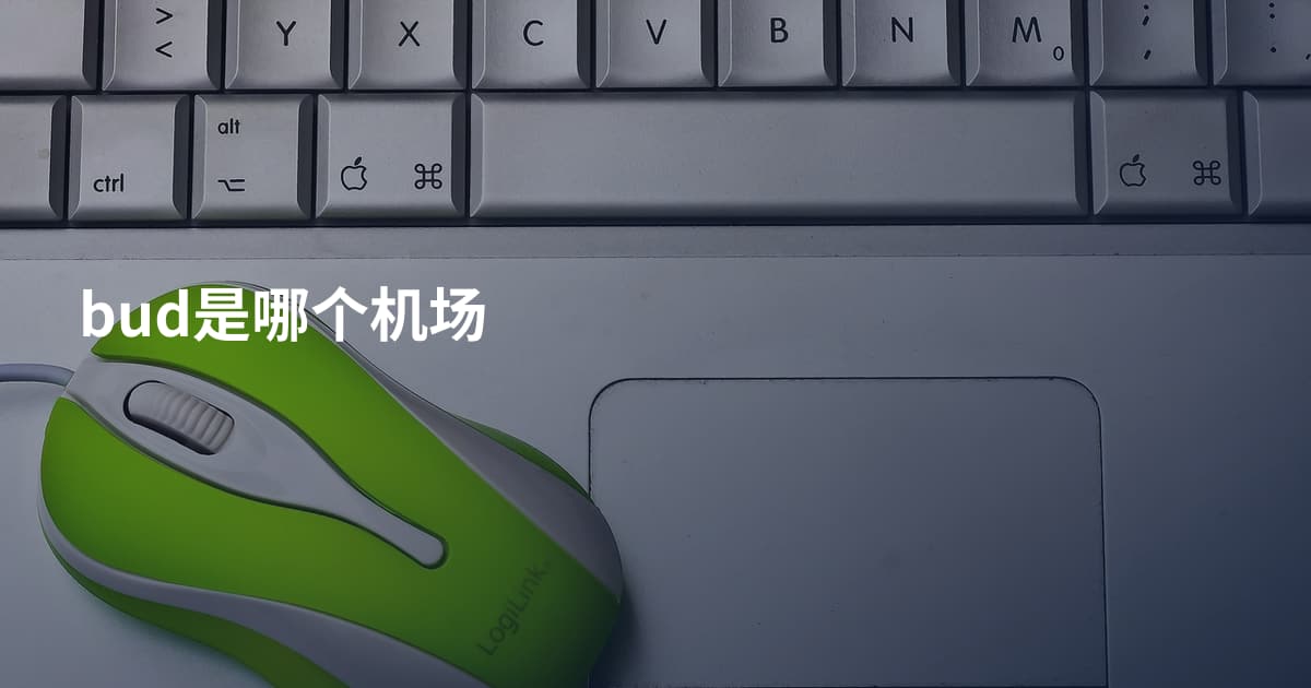 bud是哪个机场