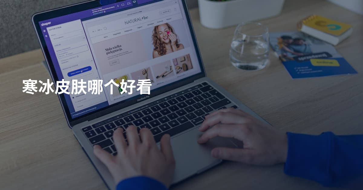 寒冰皮肤哪个好看