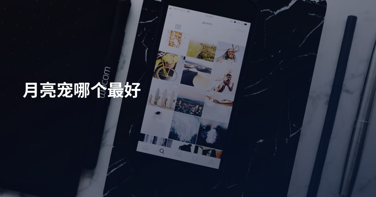 月亮宠哪个最好