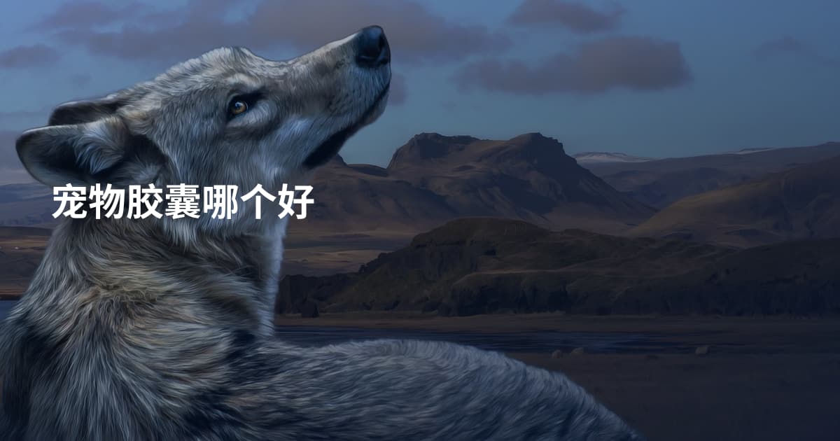宠物胶囊哪个好