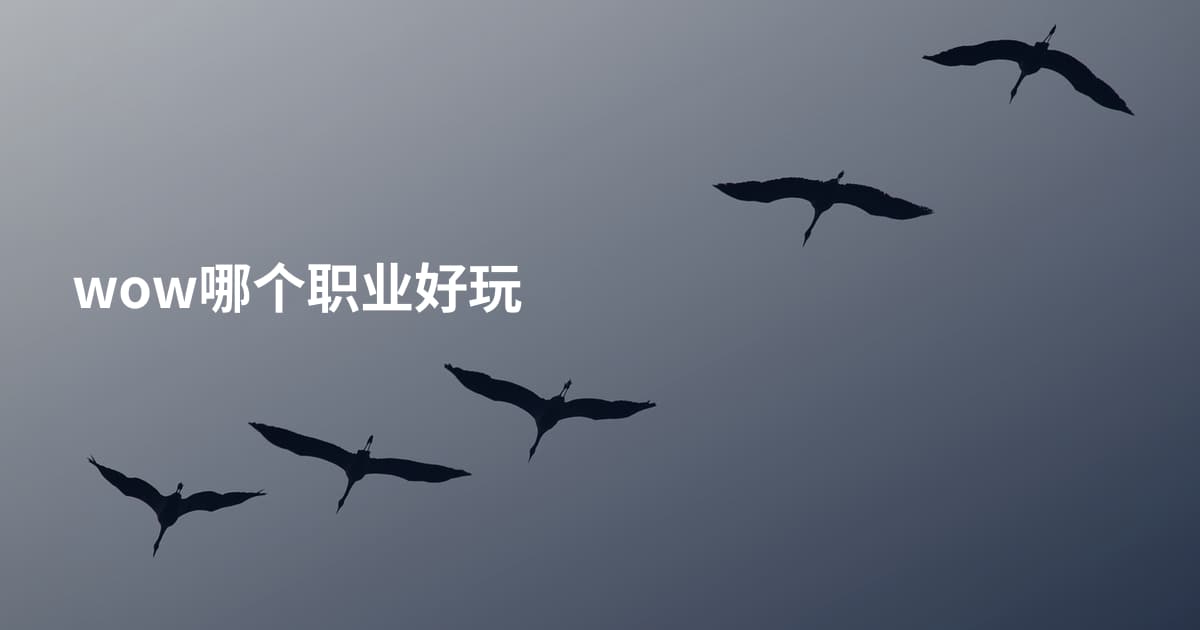 wow哪个职业好玩