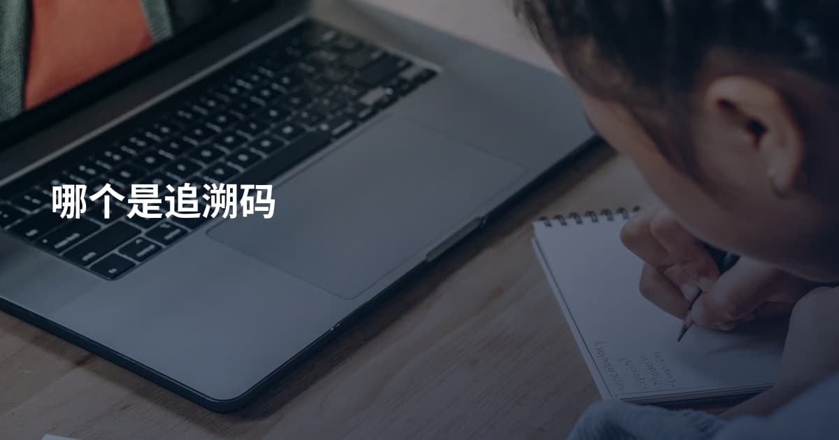 哪个是追溯码