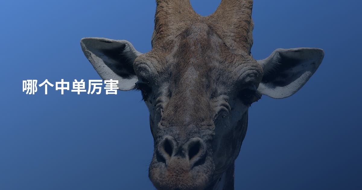 哪个中单厉害