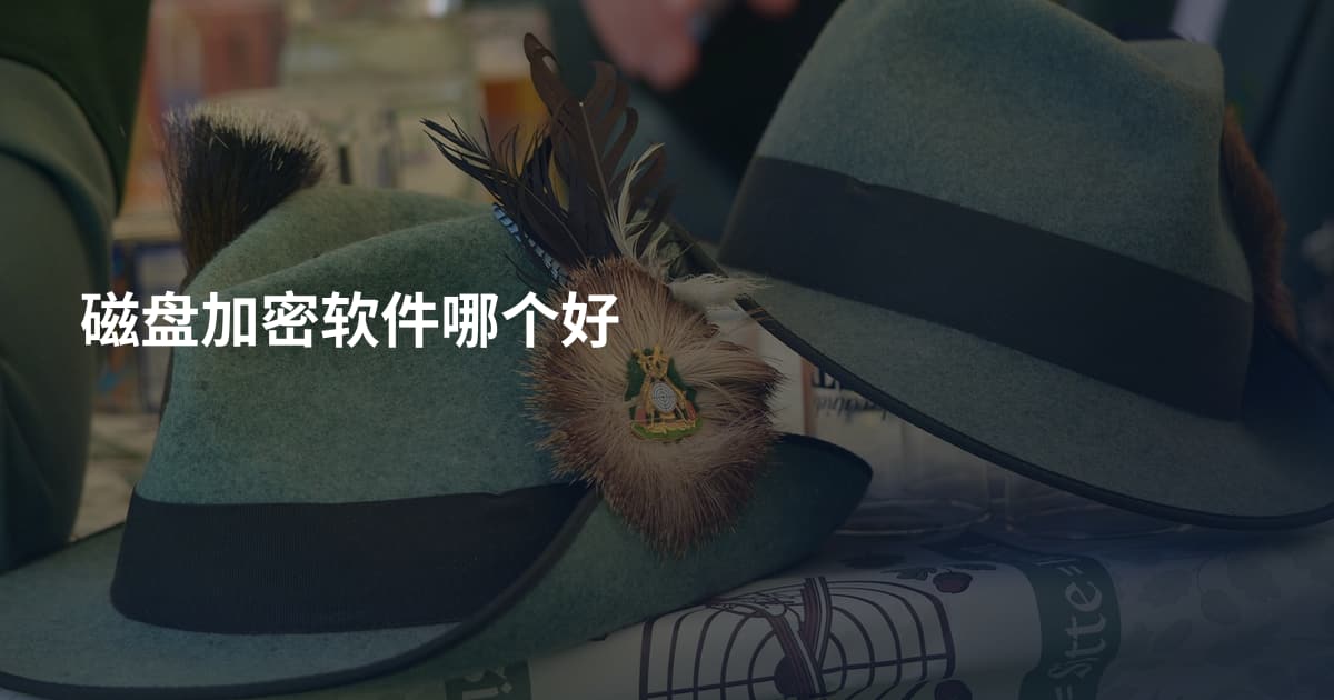 磁盘加密软件哪个好