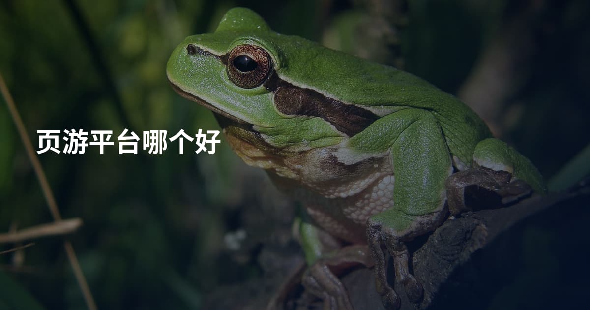 页游平台哪个好