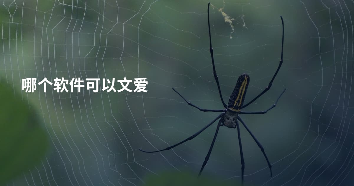 哪个软件可以文爱