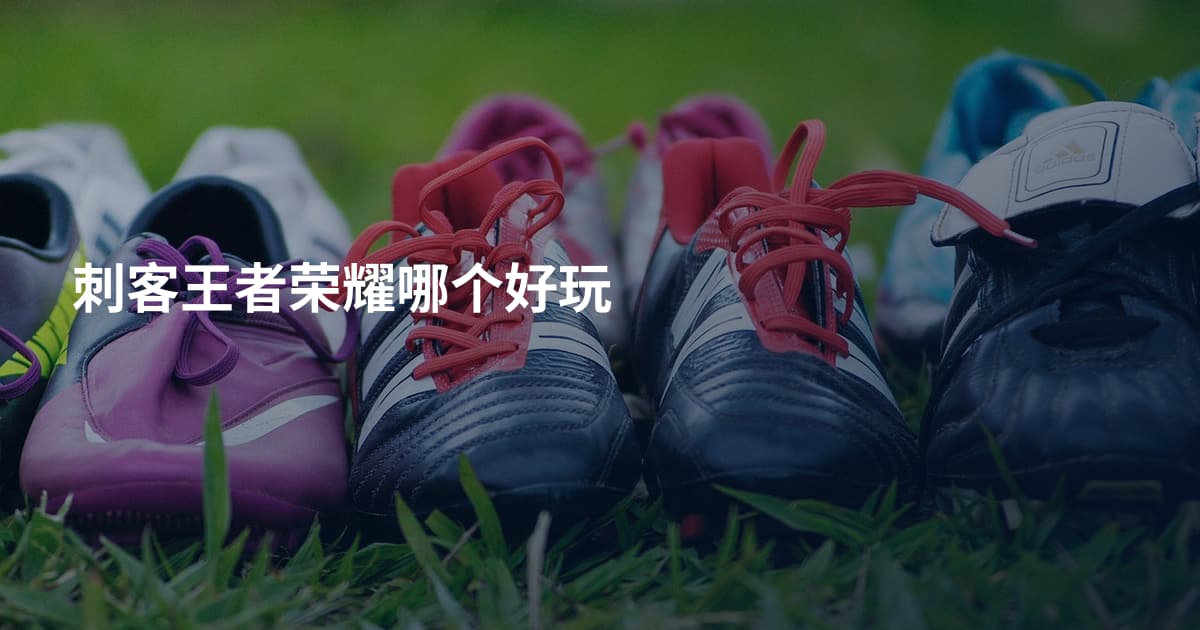 刺客王者荣耀哪个好玩