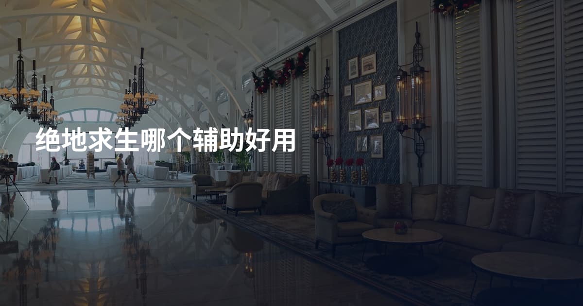 绝地求生哪个辅助好用