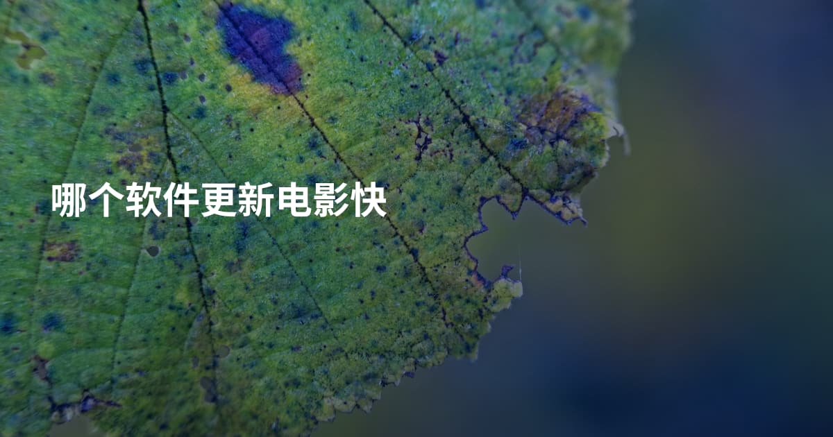 哪个软件更新电影快
