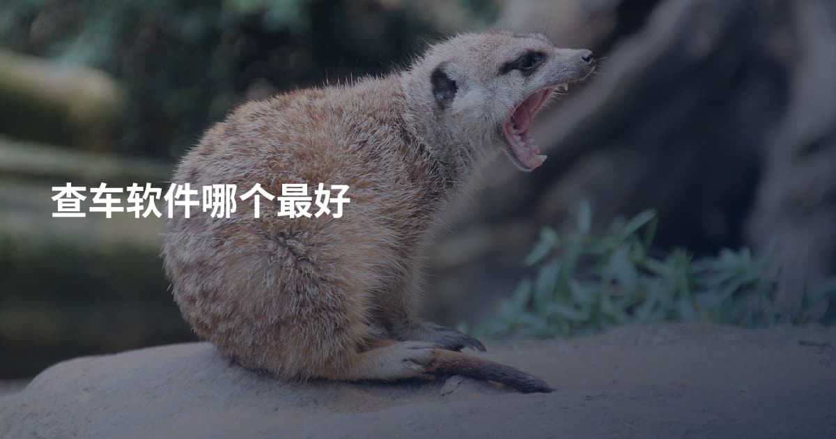 查车软件哪个最好