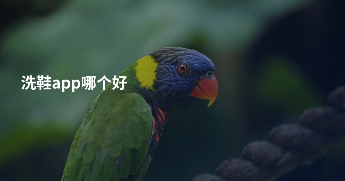 洗鞋app哪个好