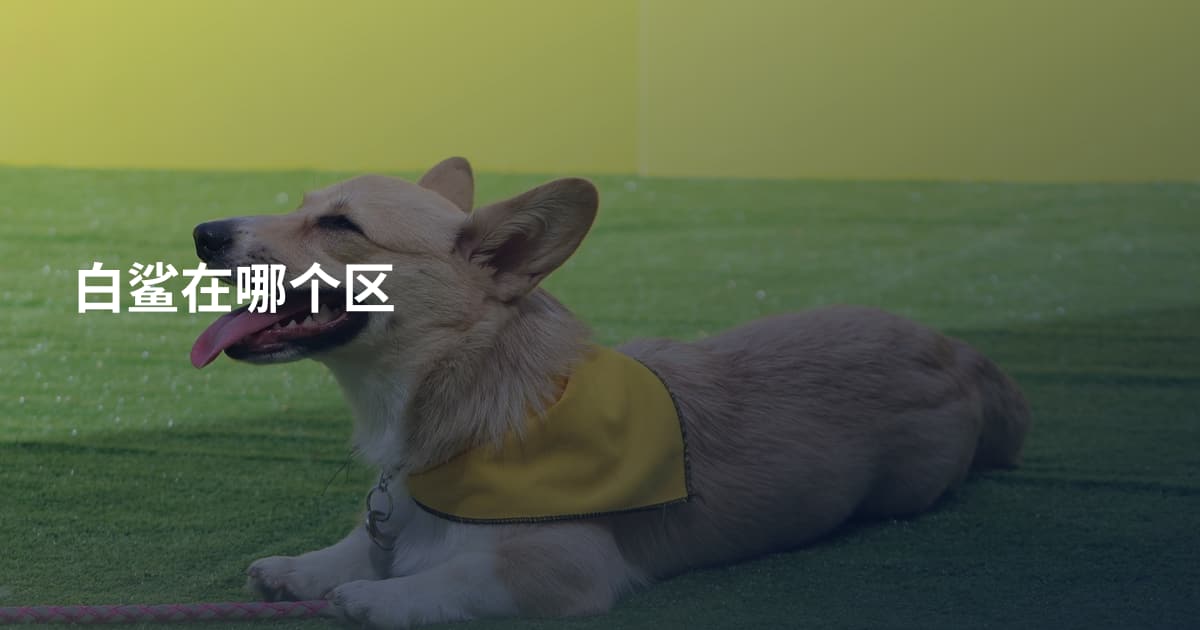 白鲨在哪个区